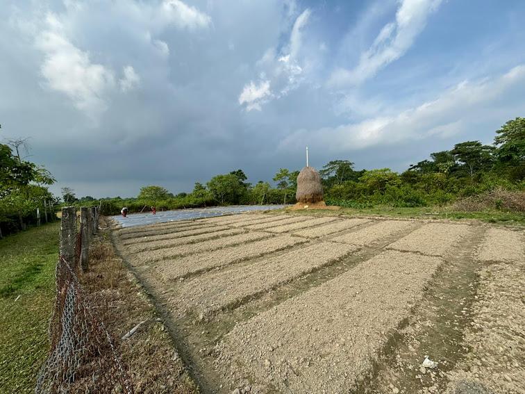 Prepared vegetable beds on the working farm