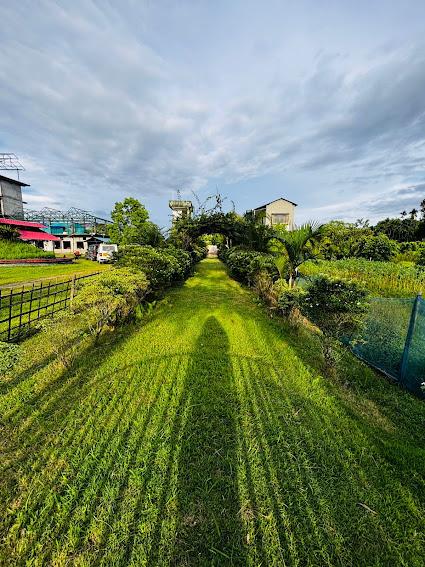 Mown path running through the garden