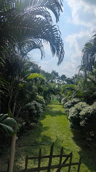 Palm-lined walkway on the grounds