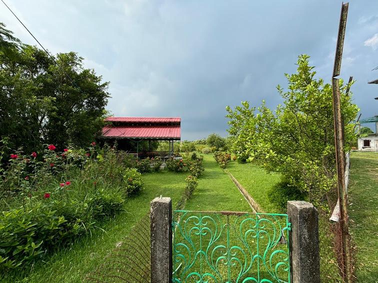 Rose garden by the entrance gate