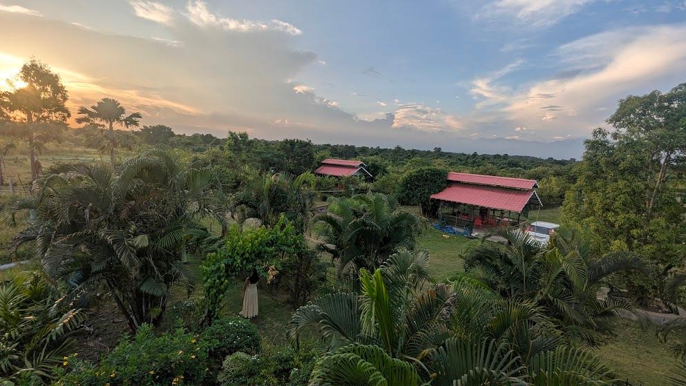 Sunset over the farmstay garden and cottages