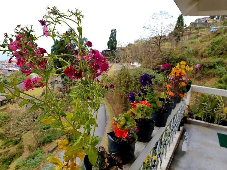 Potted garden along the balcony