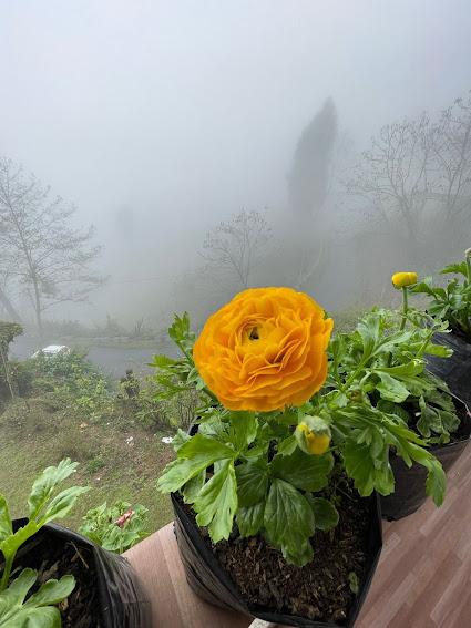 Balcony view across the valley