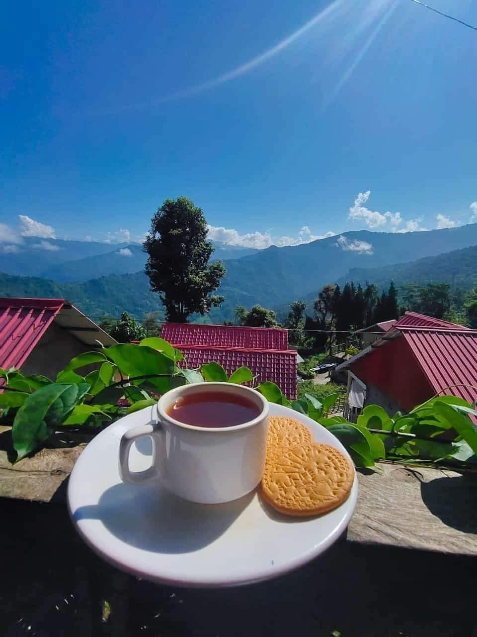 Morning tea above the cottages at Samalbong, Kalimpong