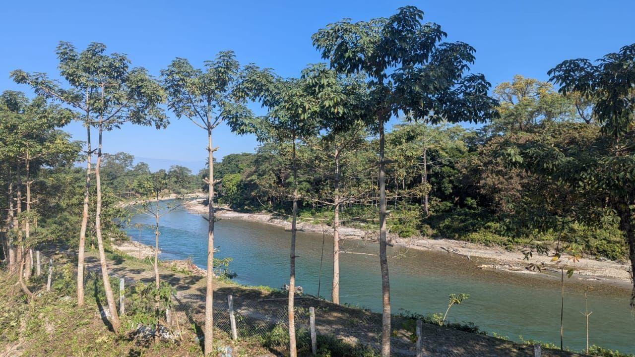 View from the balcony