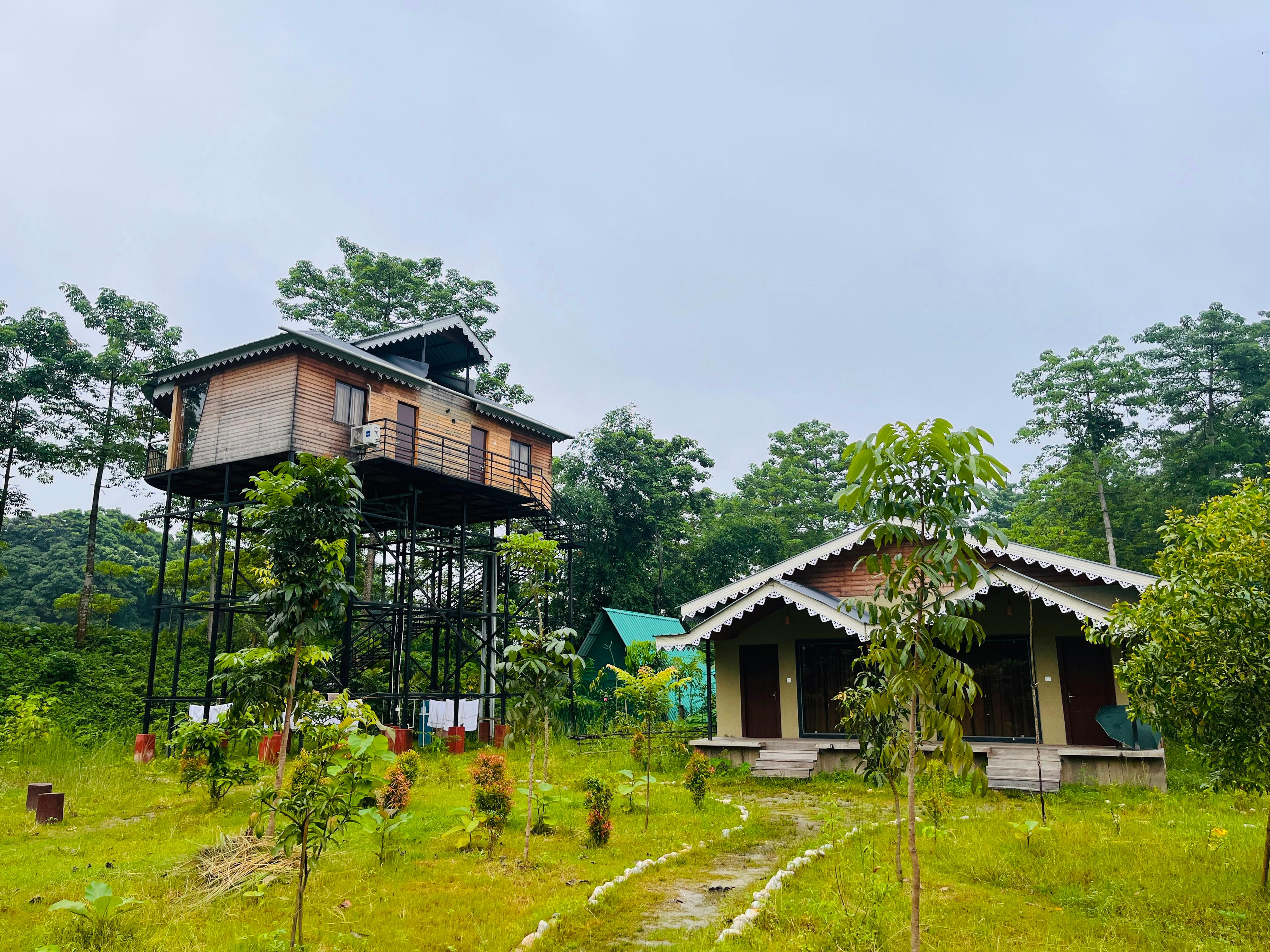 Garden within the property