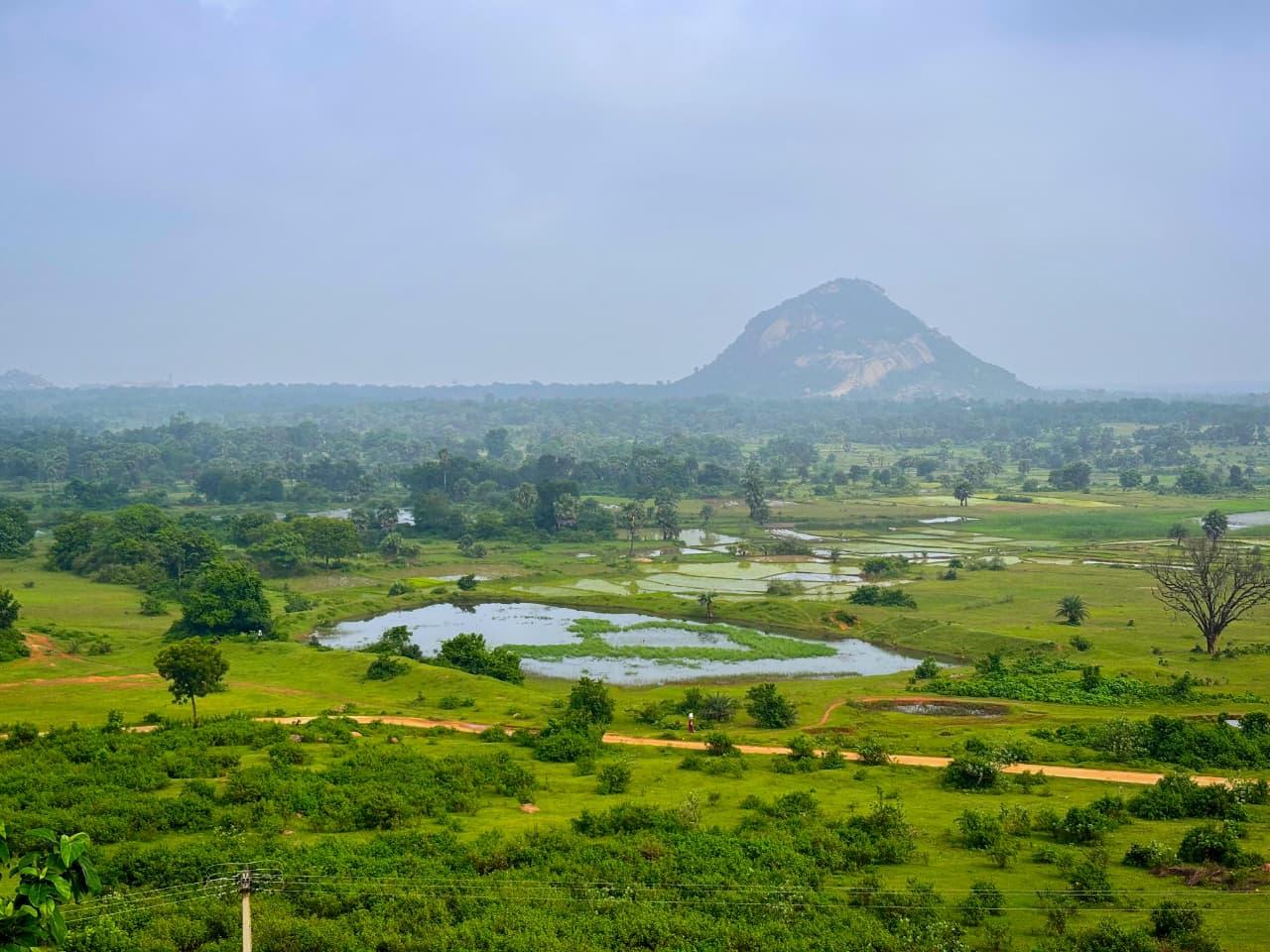 Fuldungri Hill View