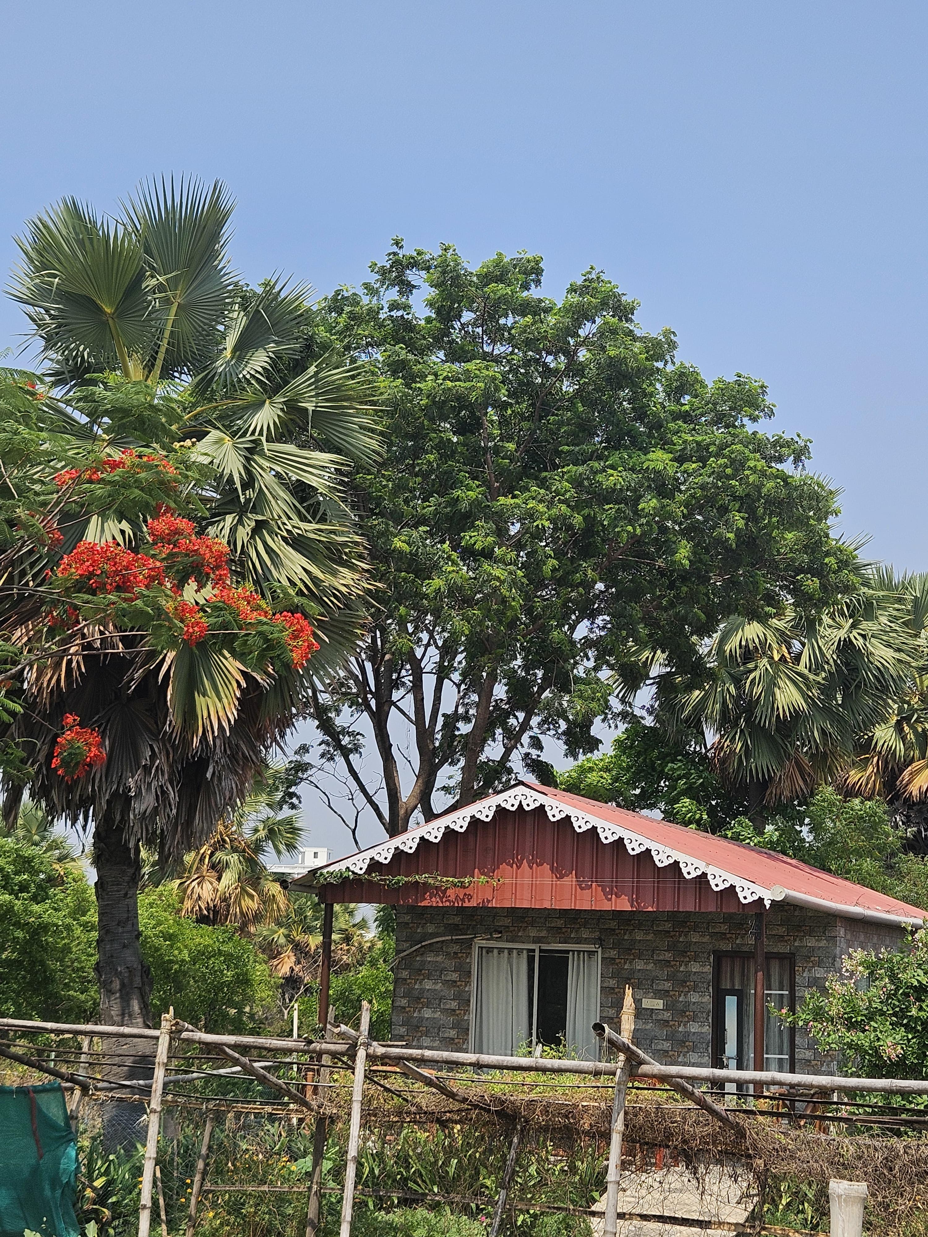 Futiary Retreat Cottage View 