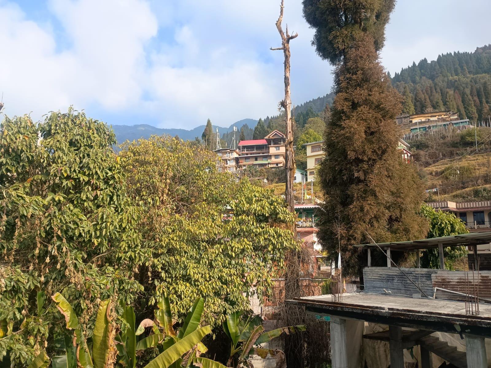 Hilly Heaven Homestay at Phadamchen