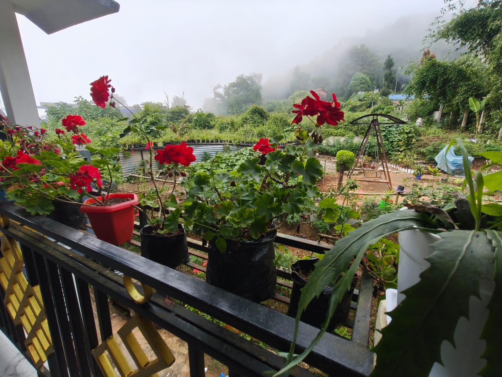 ICH005 Mountain View Homestay Icche Gaon photo 10