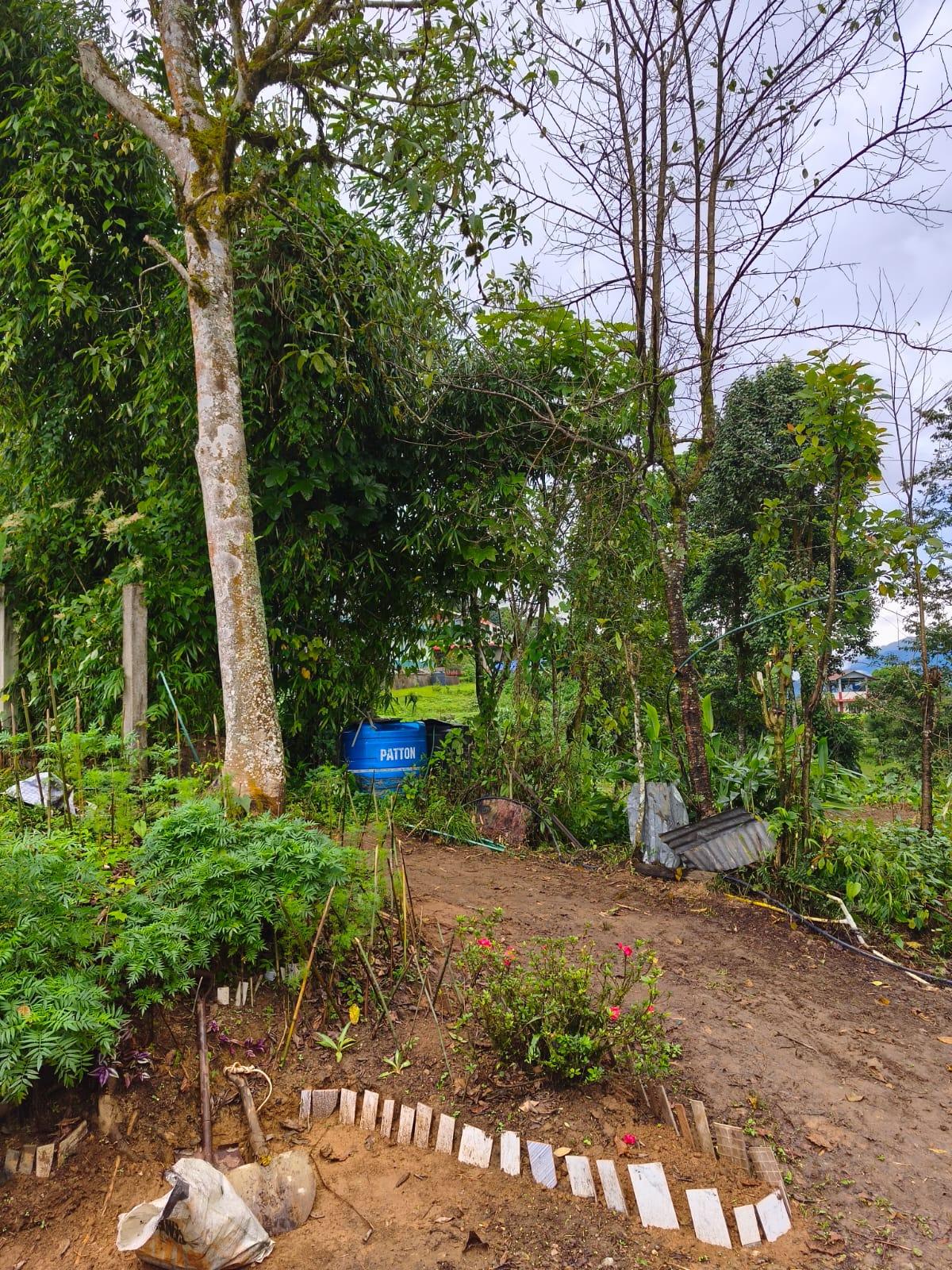 ICH005 Mountain View Homestay Icche Gaon photo 9