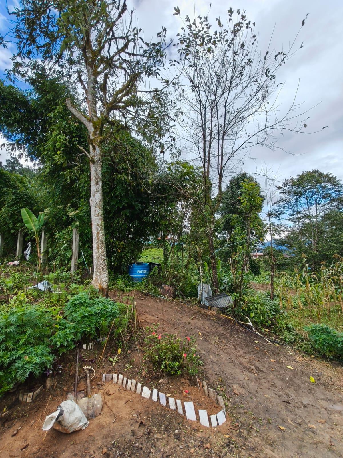 ICH005 Mountain View Homestay Icche Gaon photo 6