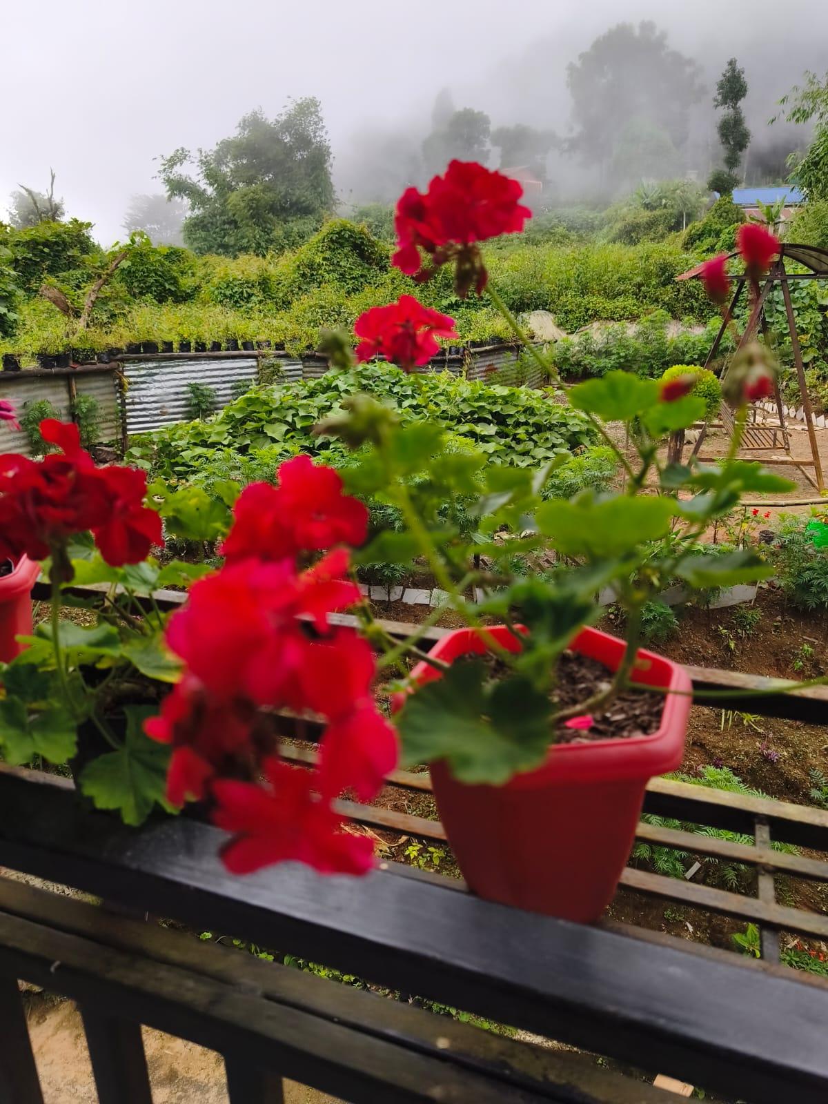 ICH005 Mountain View Homestay Icche Gaon photo 5