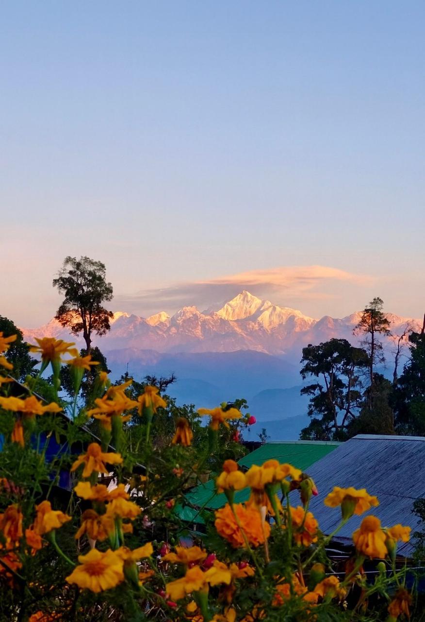 Kanchenjunga View From Homestay