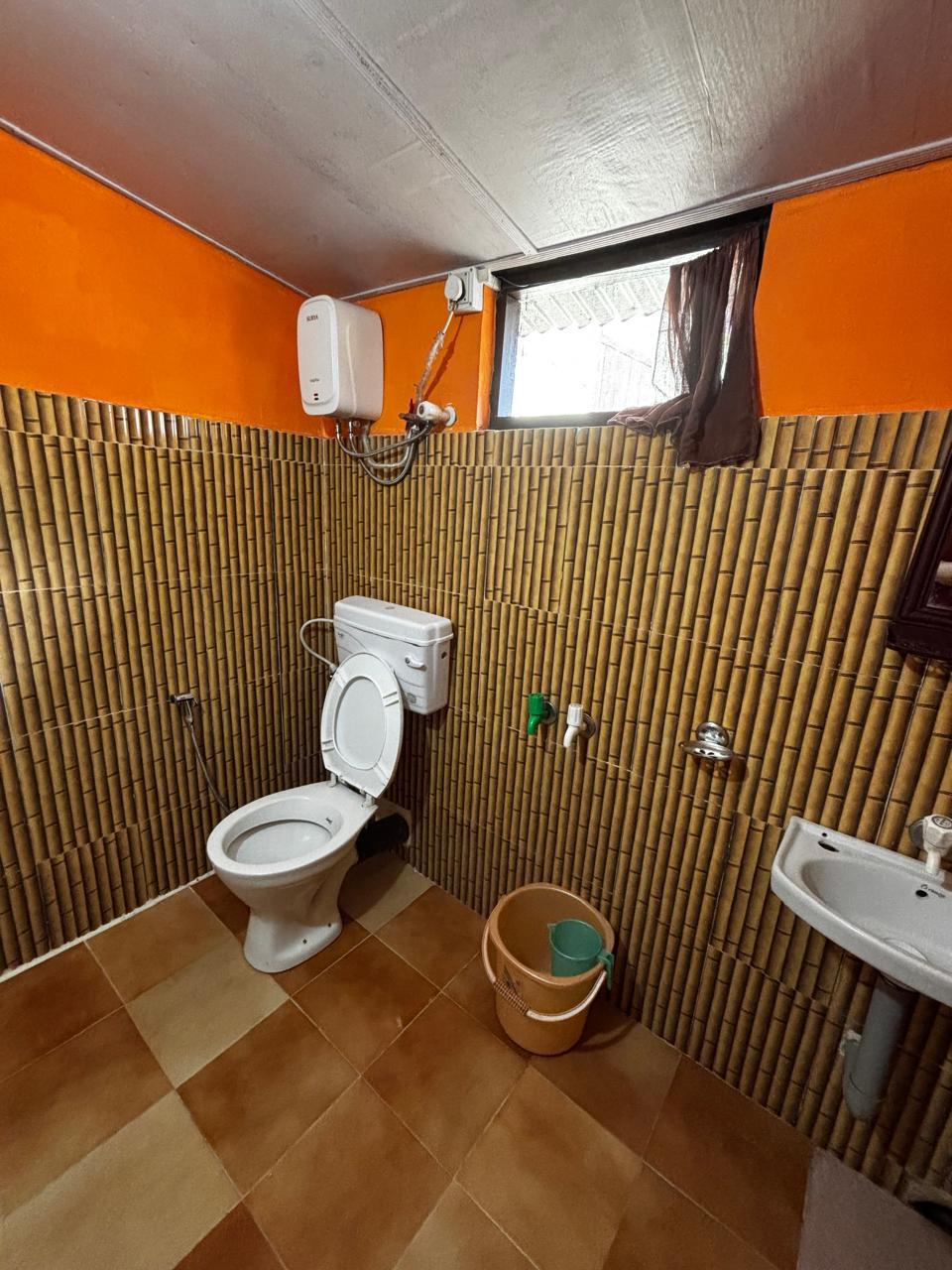 Clean Toilet