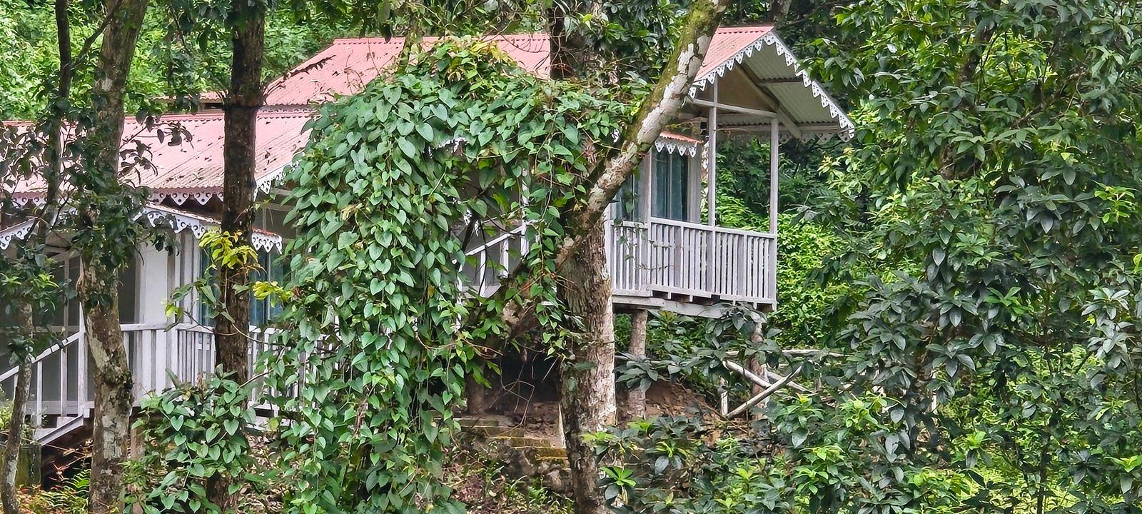 Cozy cottage by the forest and river at Rishikhola