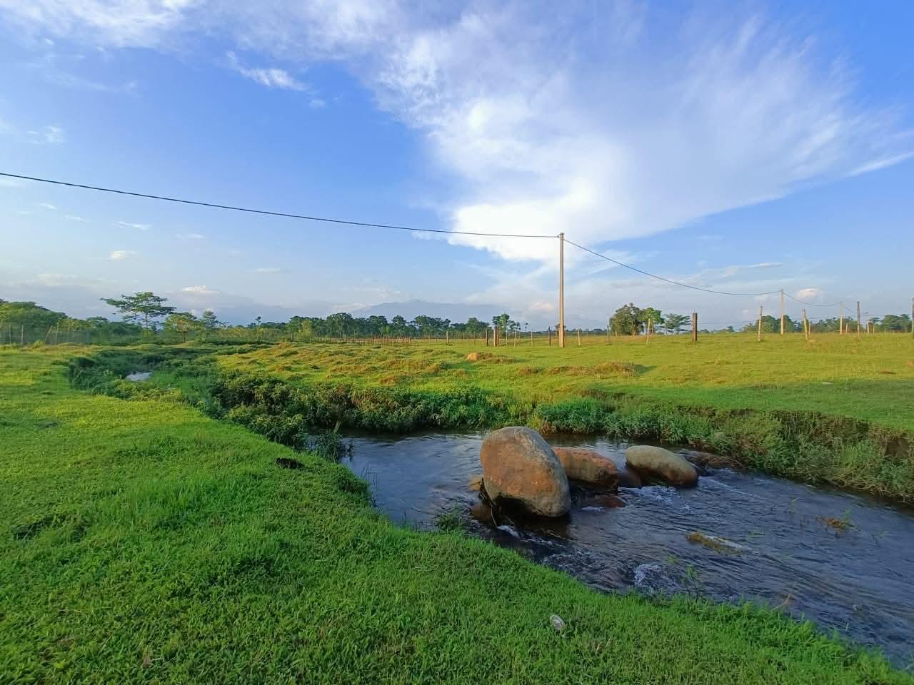 Royal Eco Hut , Nagrakata, Dooars photo 15