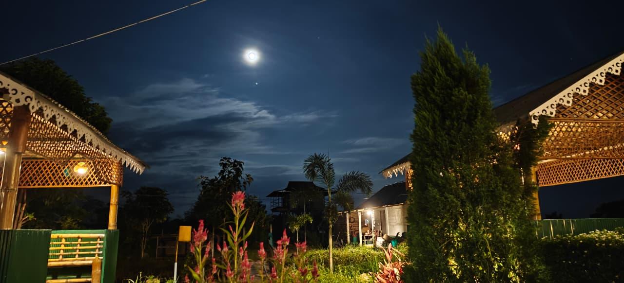Night View