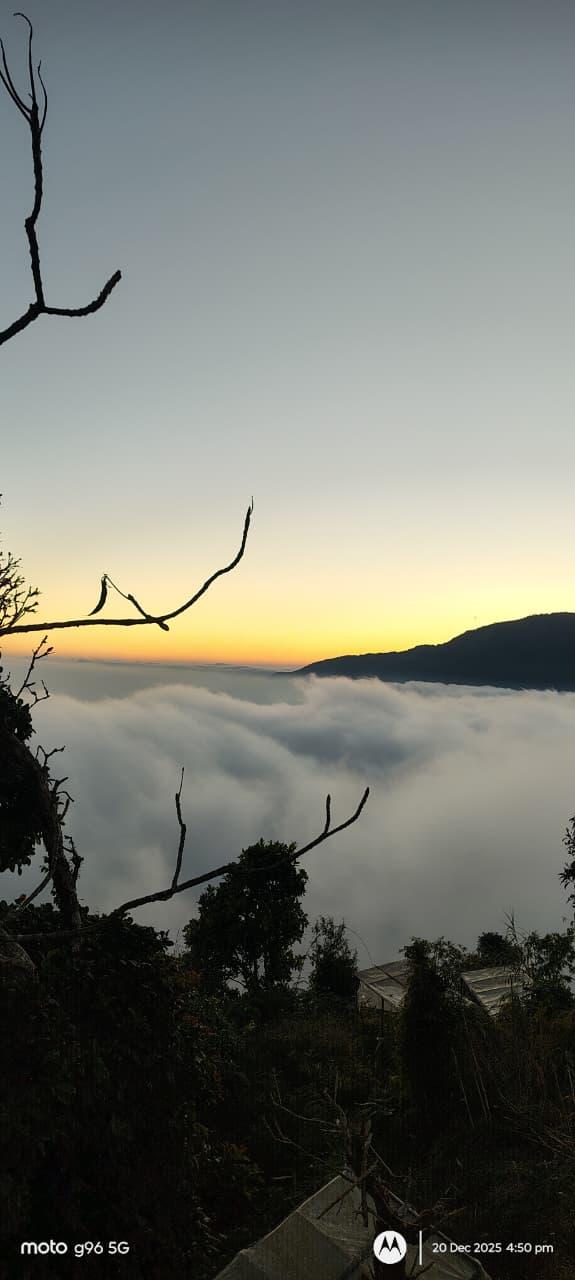 Shanvi Homestay Sittong photo 17