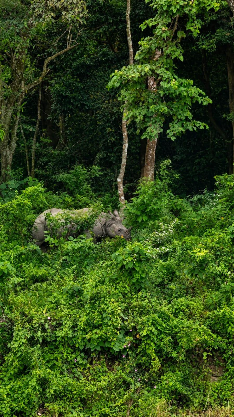 Sisamara River View Forest Villa