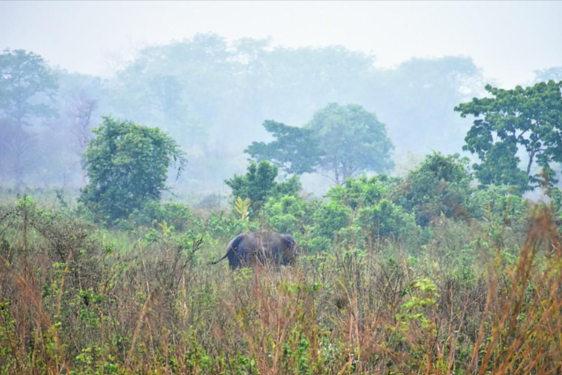 Sisamara River View Forest Villa photo 36
