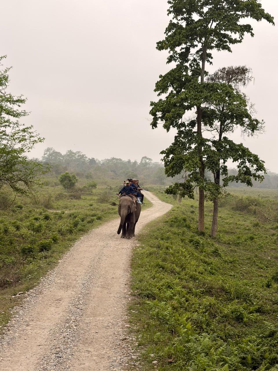 Sisamara River View Forest Villa photo 39