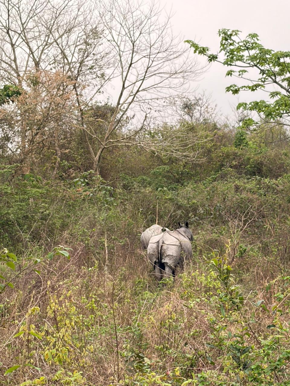 Sisamara River View Forest Villa photo 40