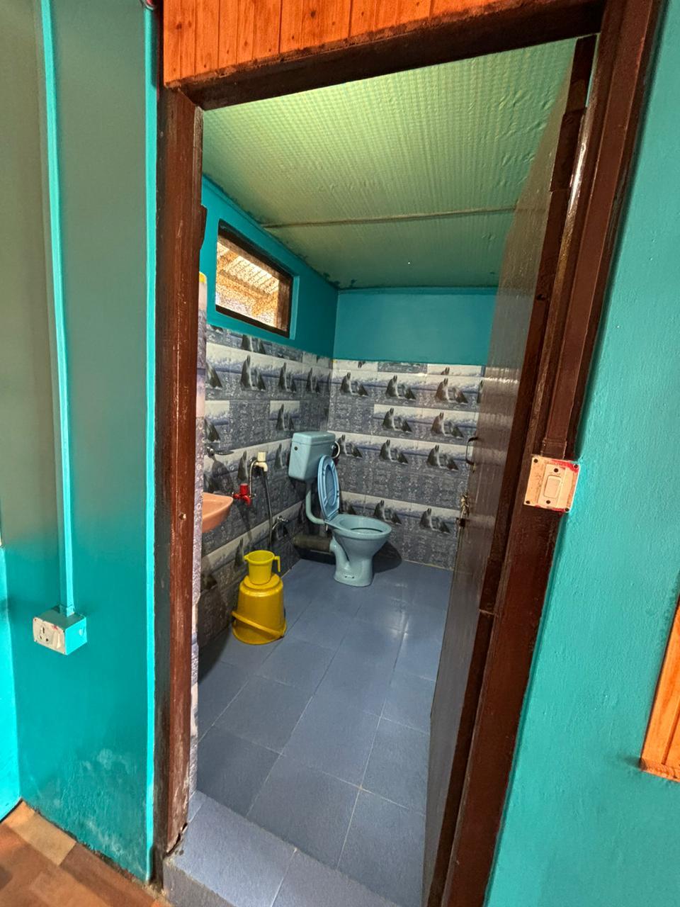 Clean Toilet