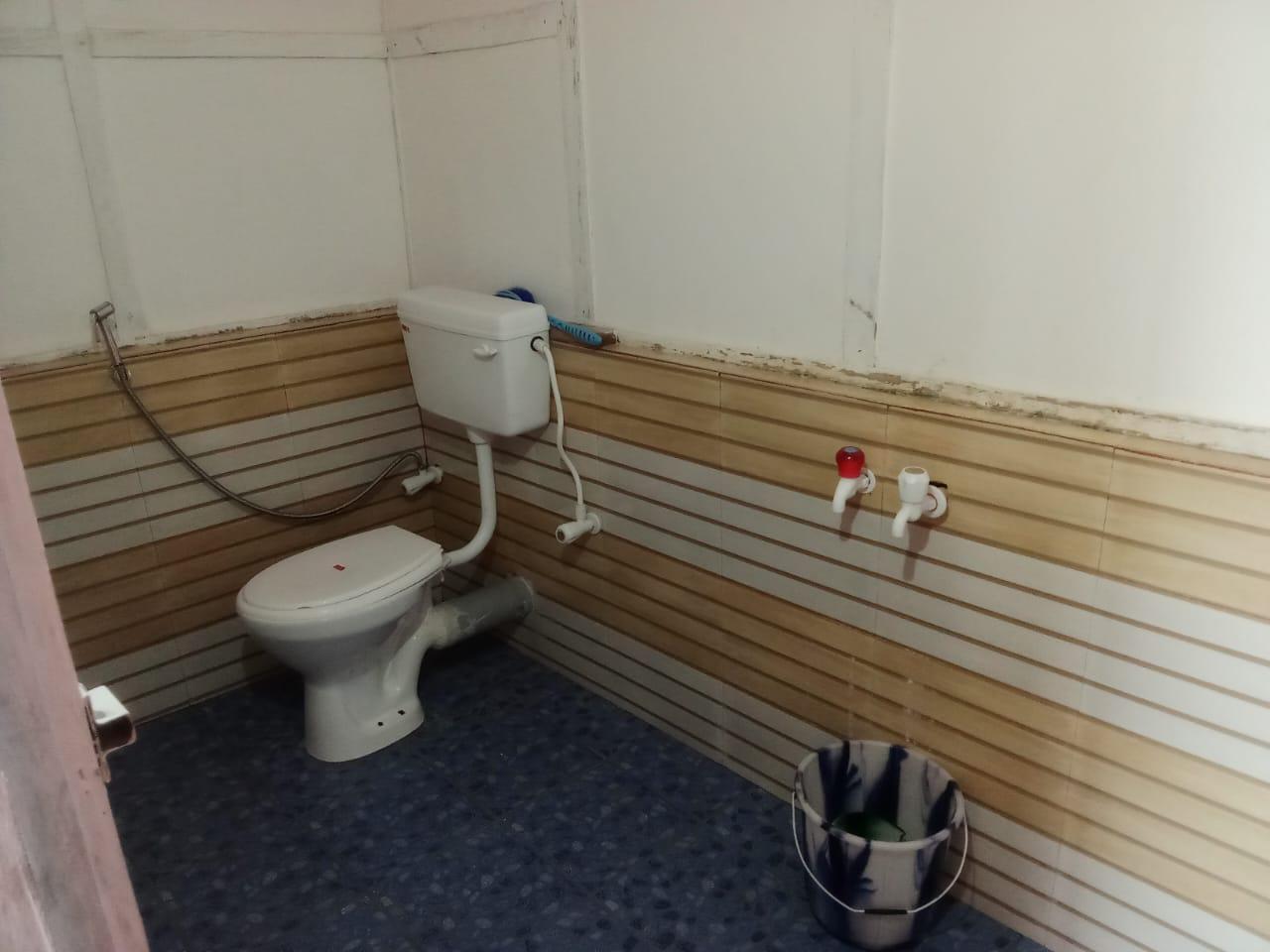Clean Toilet