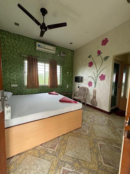 Deluxe double room with television and air conditioning