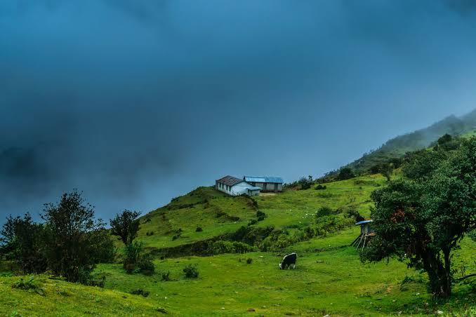 North Bengal Hills (source - TOI)